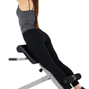 Sunny Health & Fitness Foldable Hyperextension Roman Chair w/Back Extension, Home Gym Sit Up Bench for Glute & Ab Workouts, Optional Adjustment Incline & Multi-Function Heavy-Duty Exercise Equipment